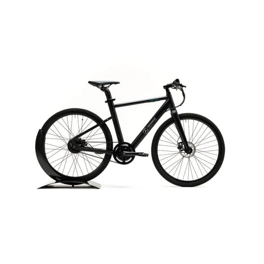 Mercedes-Benz Formula E Team Electric Bike - ProMechBC