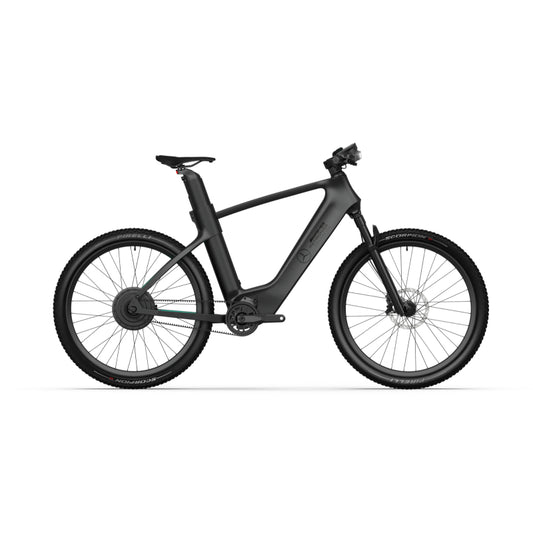 Mercedes Benz Rallye Edition Electric Bike - ProMechBC