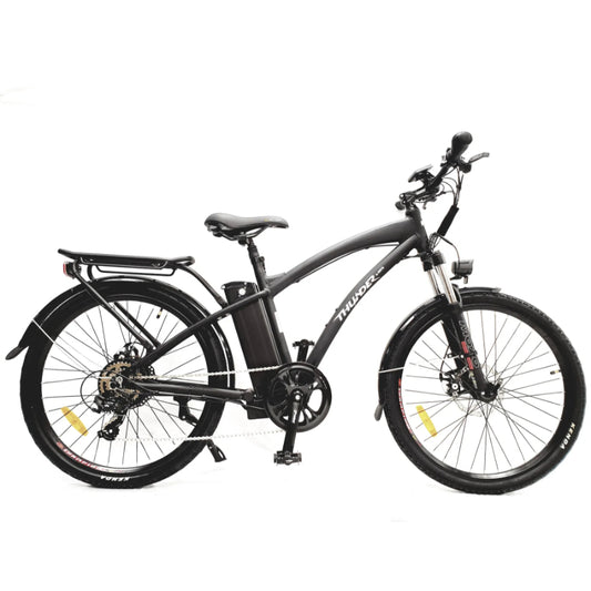 Thunder City Electric Bike