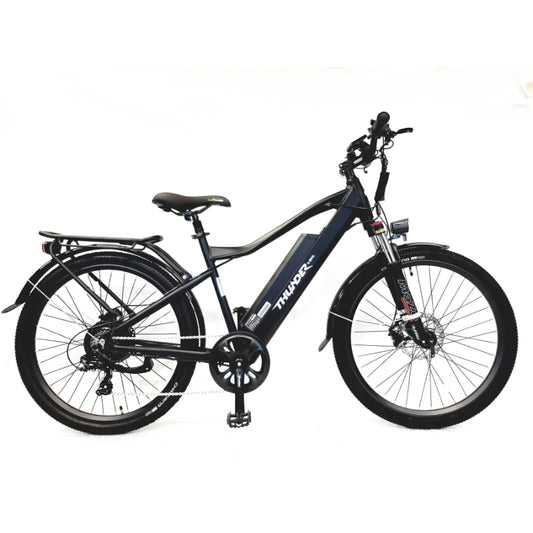 Thunder City RX Electric Bike