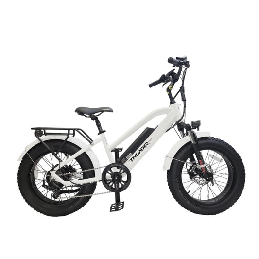 Thunder Leisure F500 Electric Bike