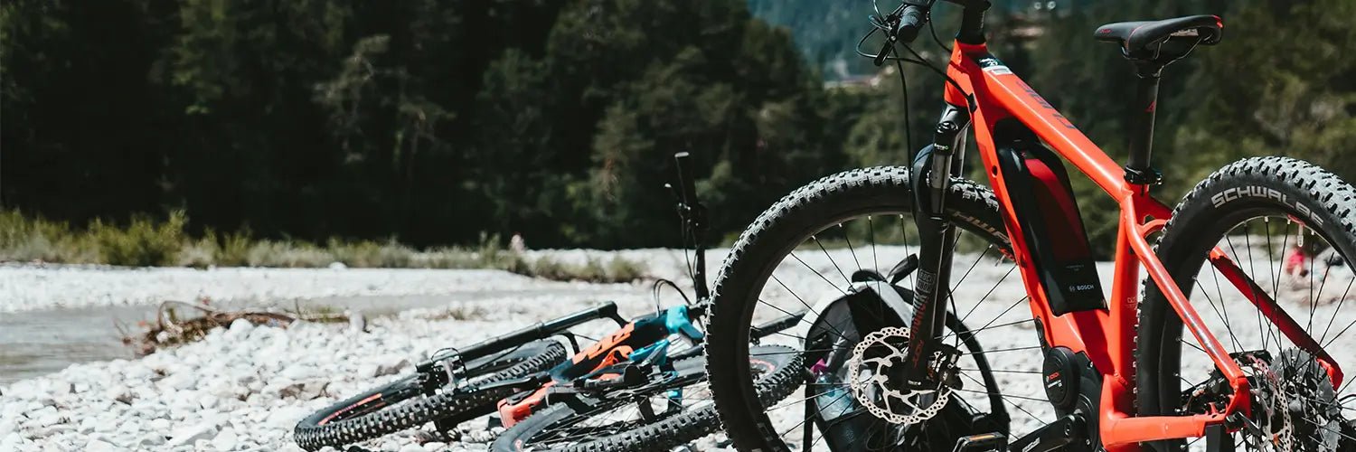 Electric Bikes - ProMechBC