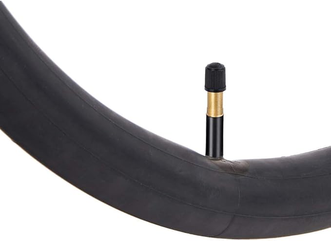 Bicycle tire with a valve on a white background