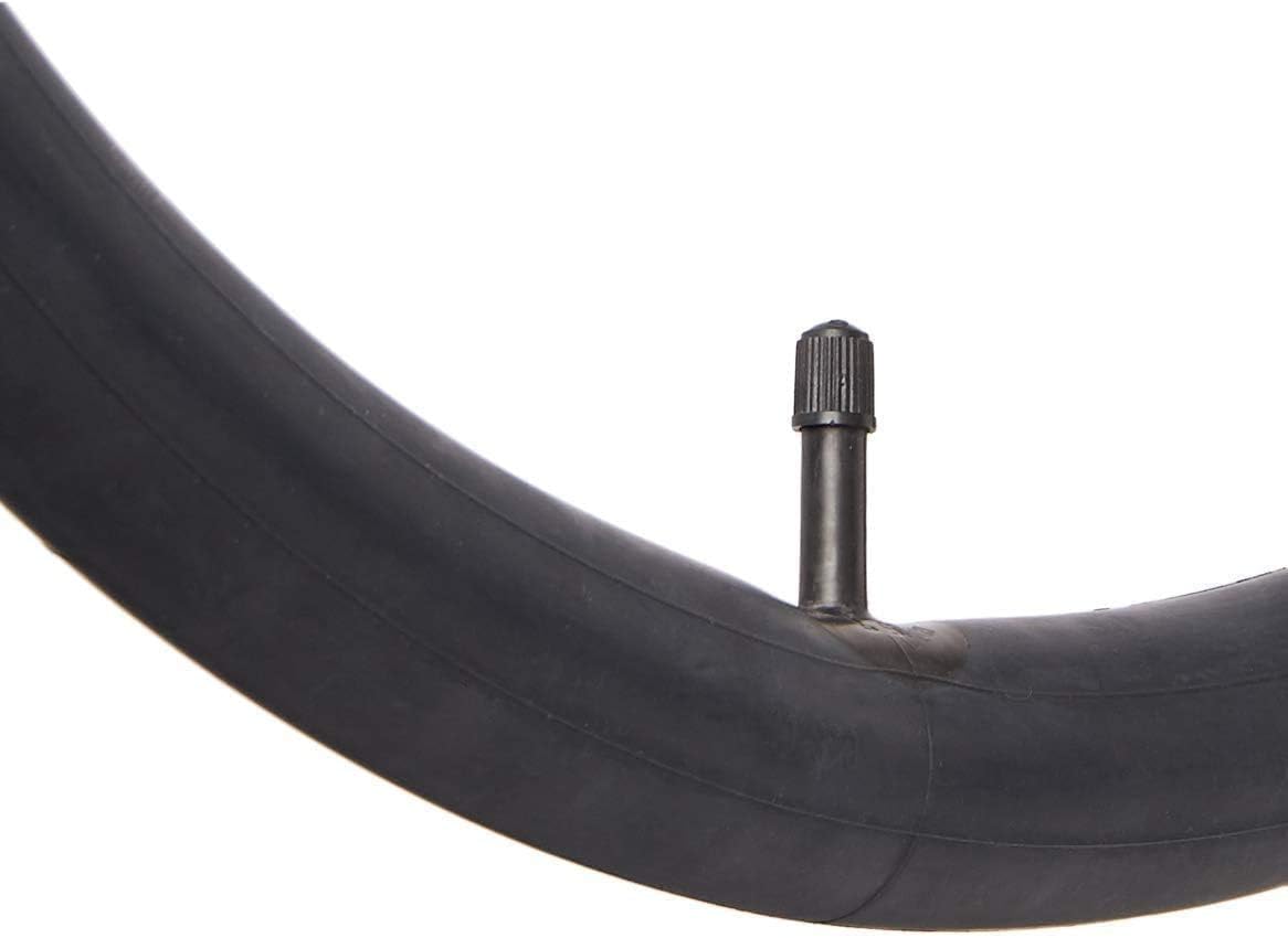 Bicycle tire with valve on a white background