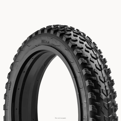 Fat Tire Mountain Bike Tire - ProMechBC