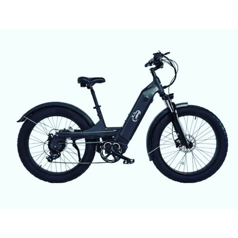 500W / 750 peak, geared for gradient