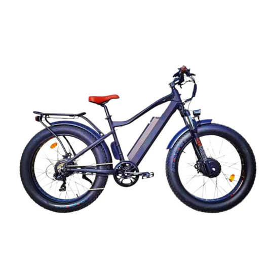 Gbike PTP DUAL MOTOR