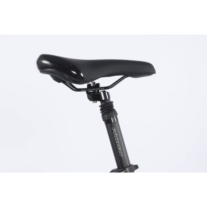 Bicycle seat with adjustable post on a white background