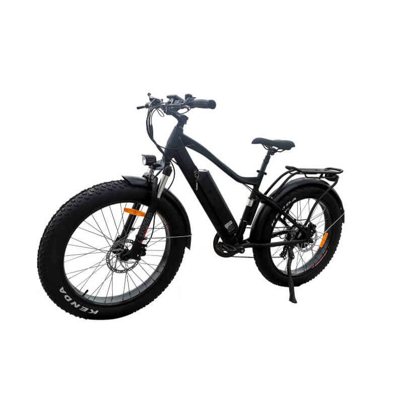 Stops 181.4 kg of bike and rider