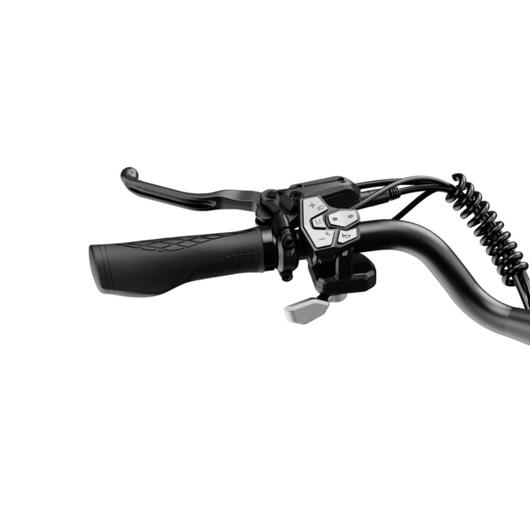 Heybike Venus