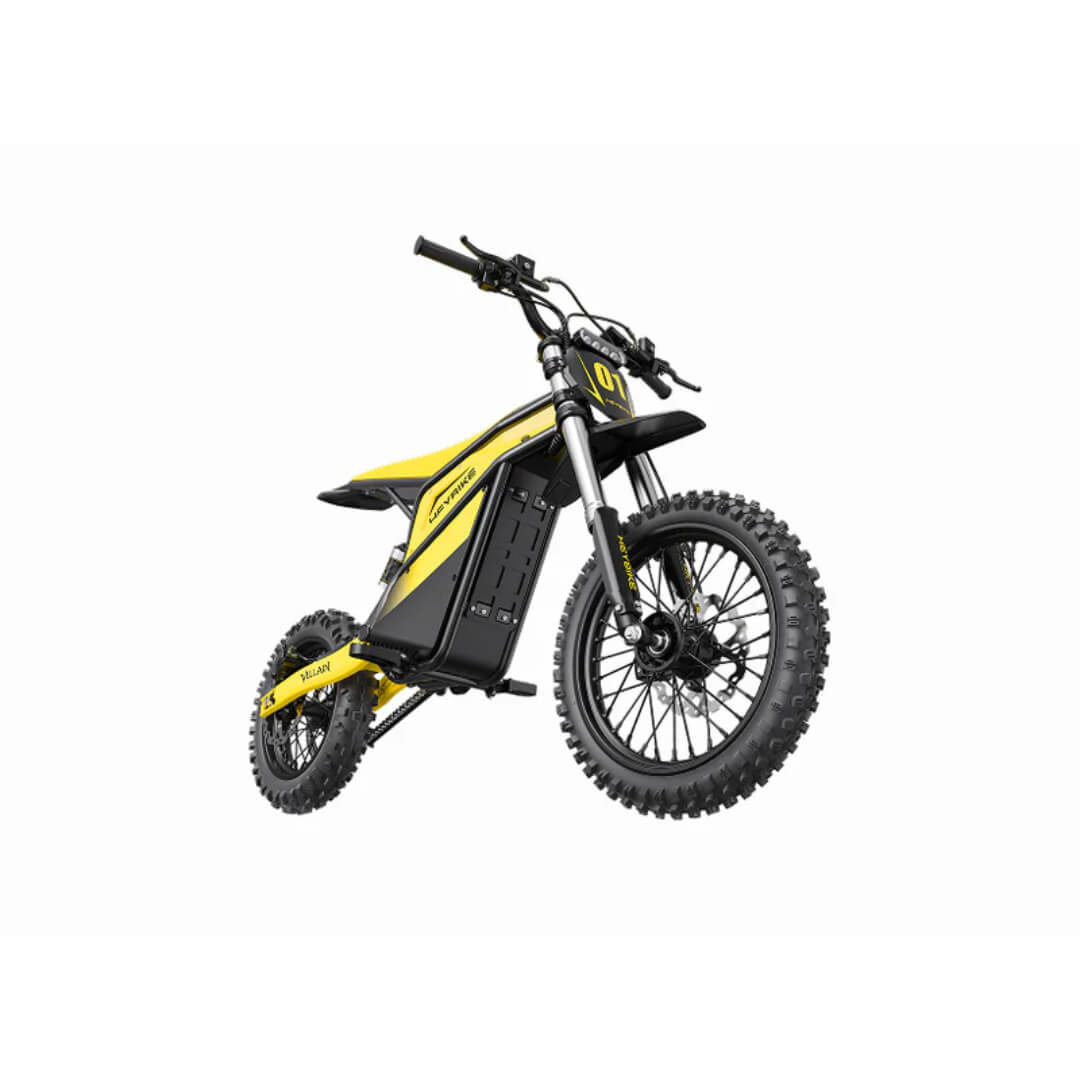 Heybike Villain