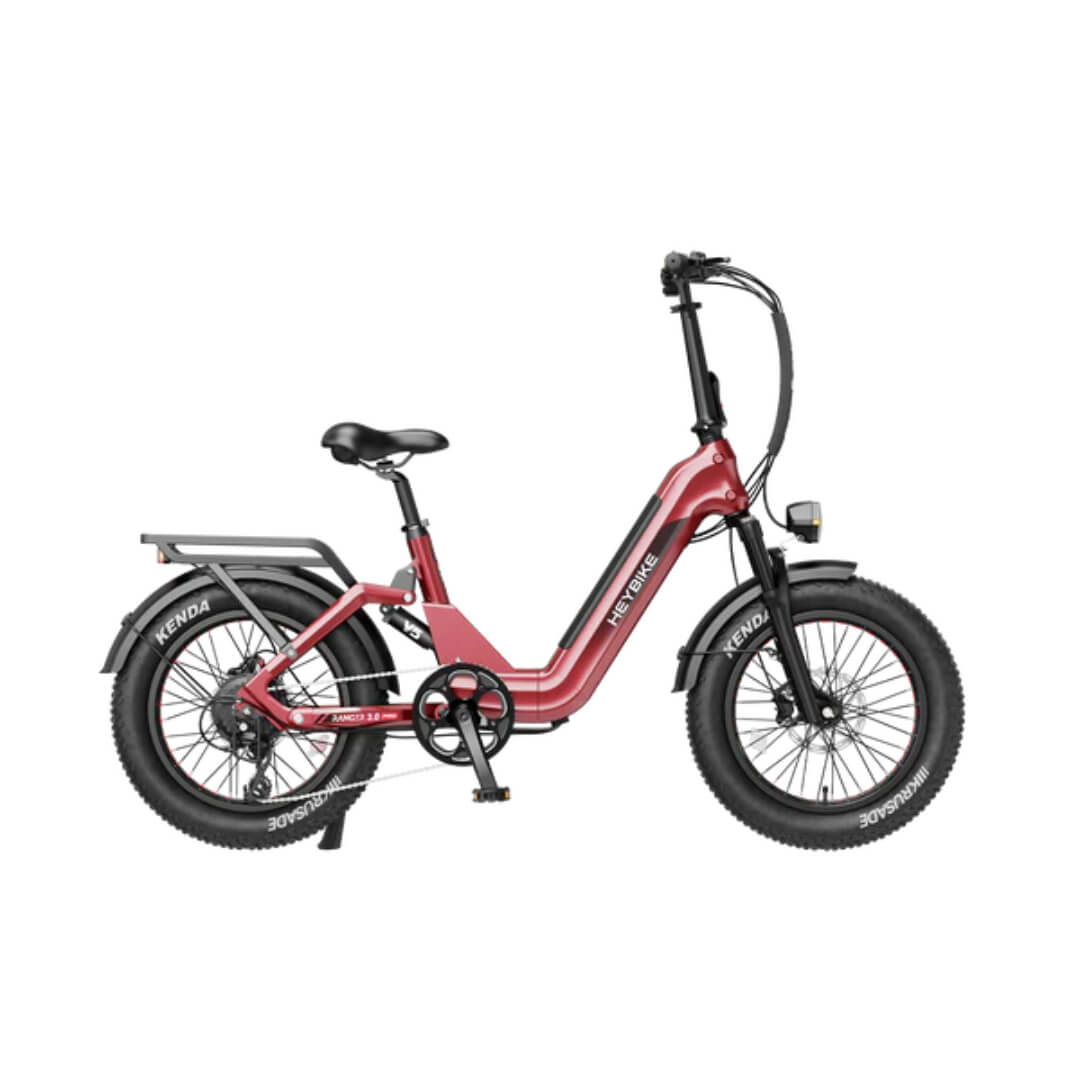 Hydraulic brakes with full suspension and 20 × 4-inch tires