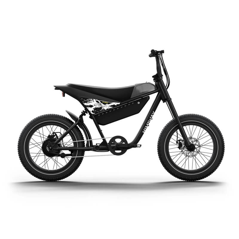 Stops 149.7 kg of bike and rider