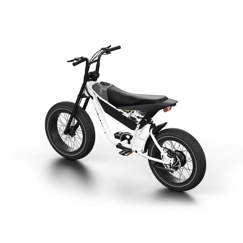 750 W Geared Hub Motor, geared for gradient