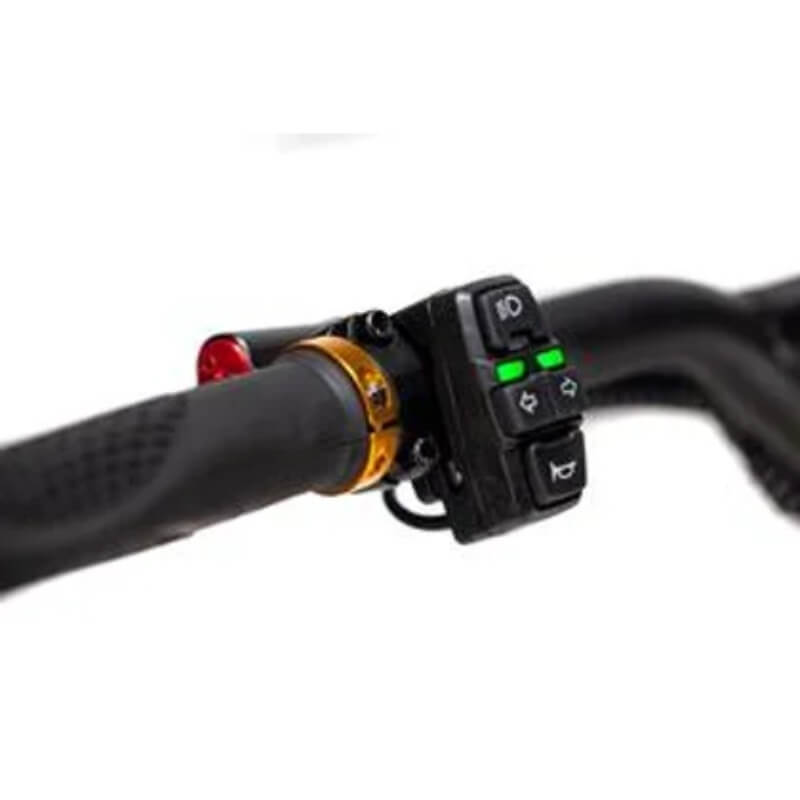 Kaabo Wolf King GT Pro Electric Scooter - ProMechBC
