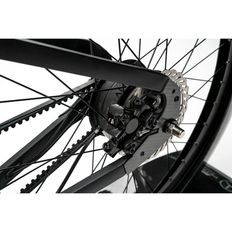 Mercedes Benz Formula E Team