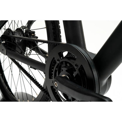 Mercedes Benz Formula E Team