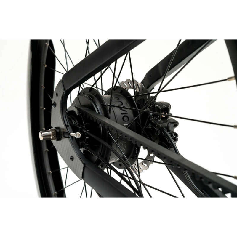 Mercedes Benz Formula E Team