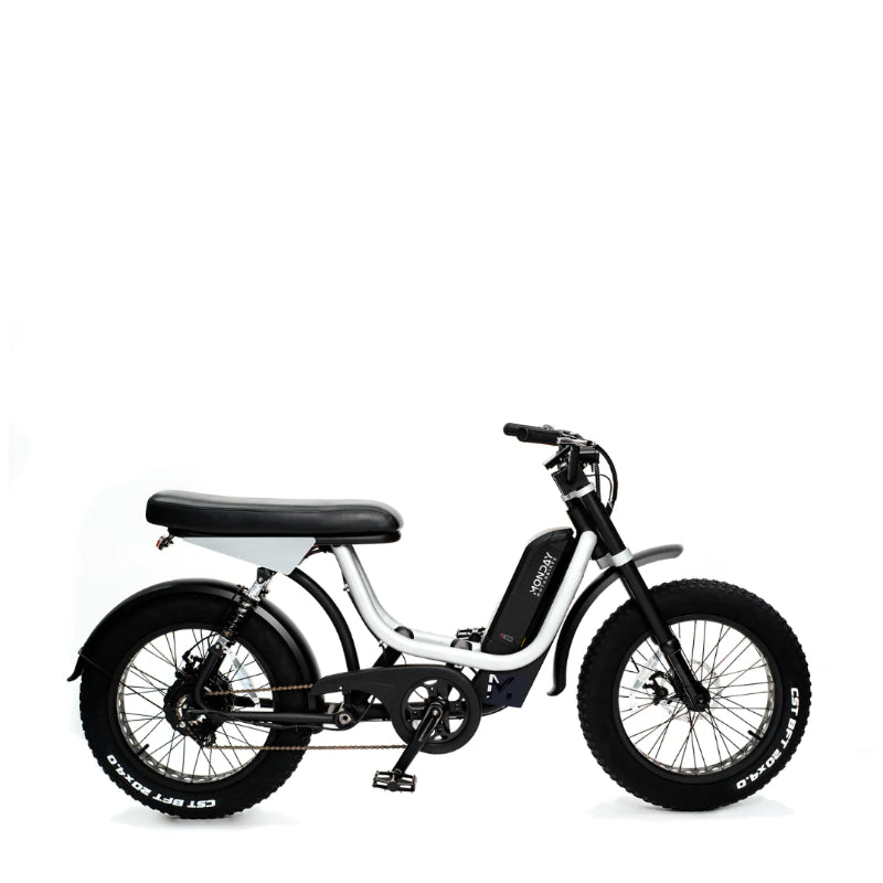 monday electric bicycle Presidio E-Bike Size:24 ft extension Argentina World Champions Mate split grip The Torrey Motorbike offers