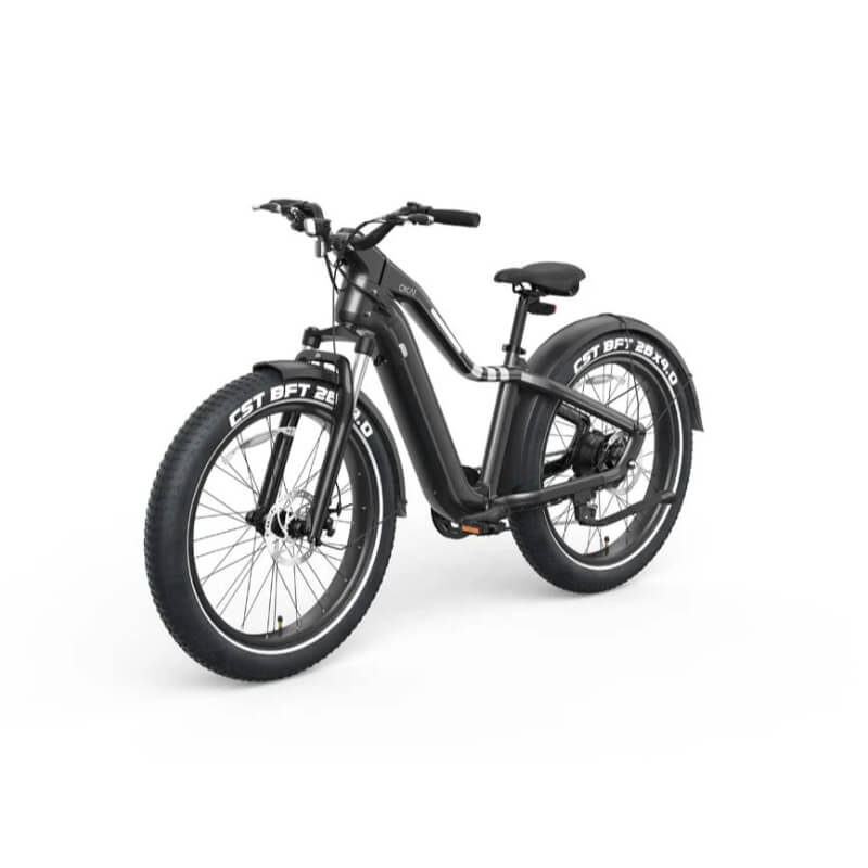 Tektro mechanical disc brakes with 26 × 4-inch fat tires