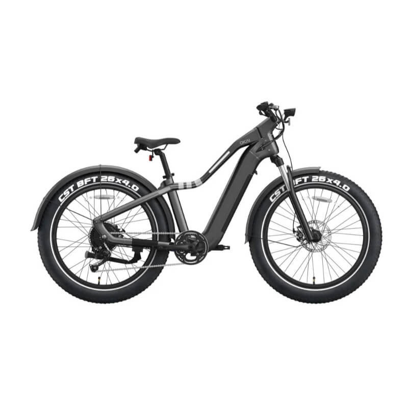 Shimano 8-speed gearing with cadence assist and NFC unlocking