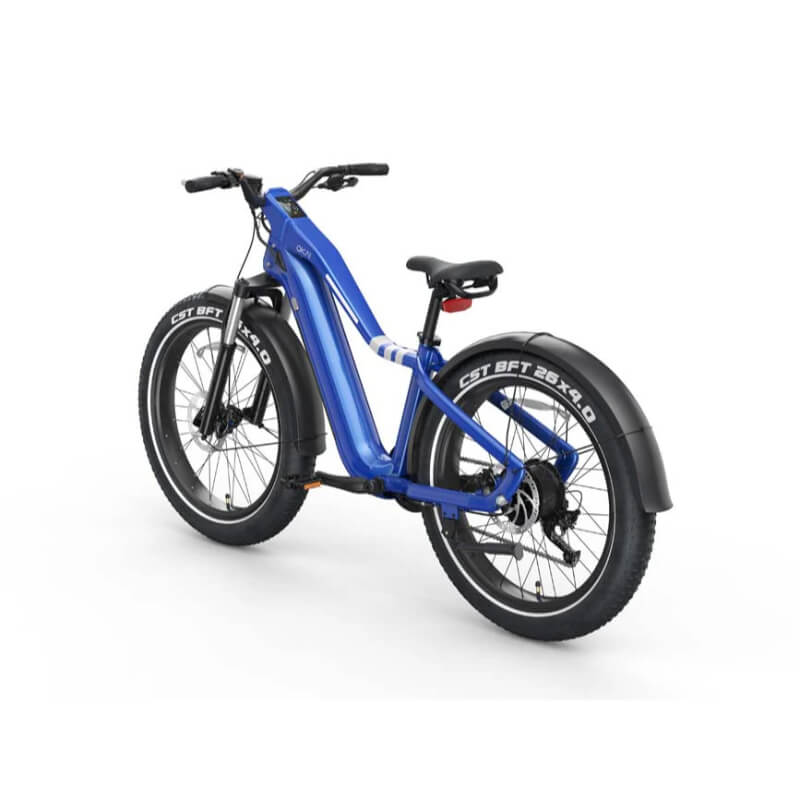 750W nominal BAFANG motor with up to 1000W peak power