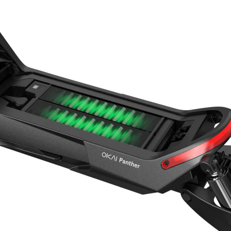 OKAI Panther ES800 Tout-terrain