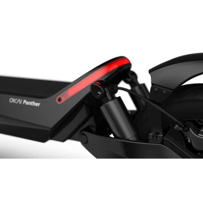 OKAI Panther ES800 Tout-terrain