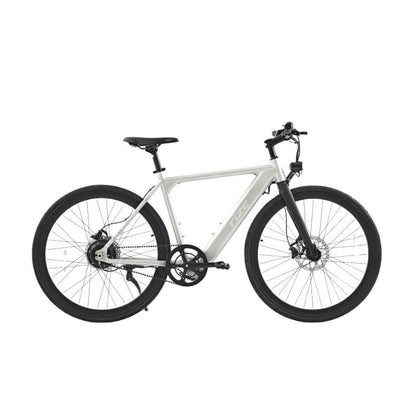 electric fixie bicycle Rize Fixie Electric Bike