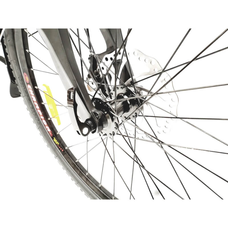 Step-Thru frame, and what it means