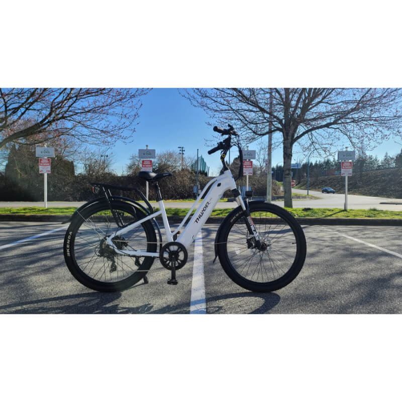 Thunder Pro-Step-Thru