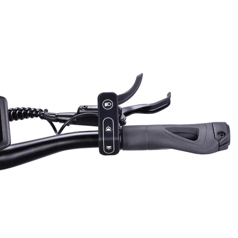 20.8Ah or 25.6Ah removable 60V battery