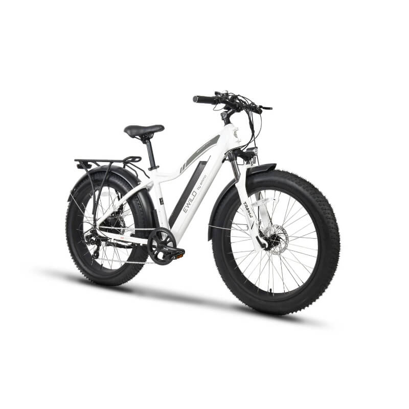 Peak 750W Geared Hub Motor, geared for gradient