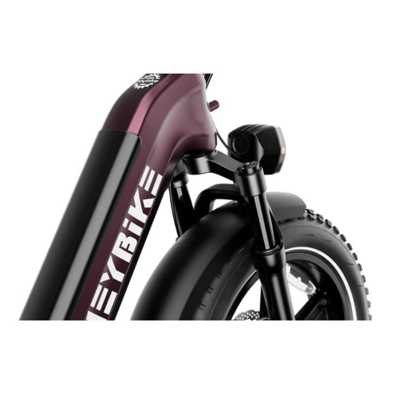 Variant-specific assist with Shimano gearing and app connectivity