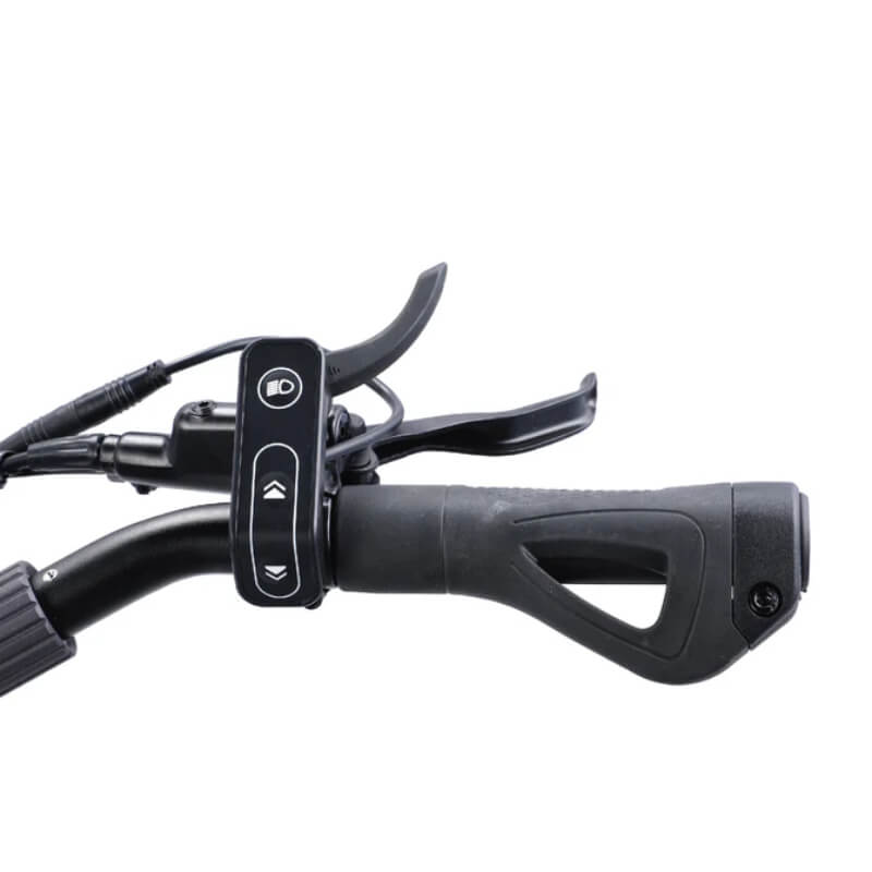 VSETT 9 APEX Electric Scooter