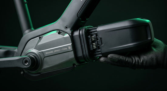 Mid-drive motor and battery mount inspection during an e-bike service