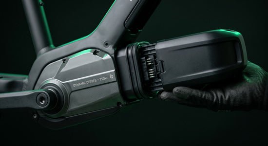 Mid-drive motor and battery mount inspection during an e-bike service